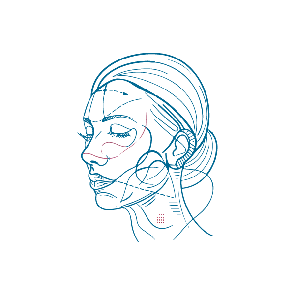 Ilustración de perfil facial